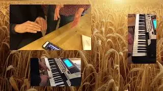 Das Gleichnis vom Sämann
