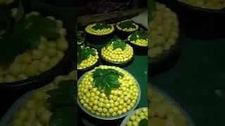 Узбекский абрикос