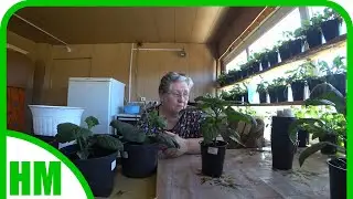 10 апреля. Не хочу ныть, но приходиться поплакать 😢