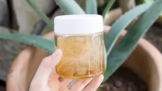 【韓國蜂蜜蘆薈茶的做法】自製無添加純天然