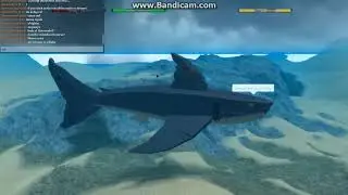 DINO SIM:NEW DINO Carcharocles Megalodon  FIRST LOOK (read desc.)