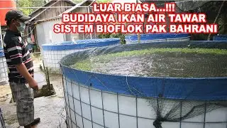 Budidaya Ikan Air Tawar Di Kolam Terpal Dengan Sistem Bioflok