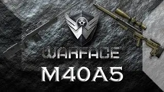 AX308 ЗА ВАРБАКСЫ! WARFACE