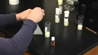 Anesthetize Fruit-flies