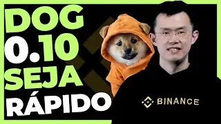DOG GO TO THE MOON SEJA RÁPIDO