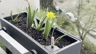 Pohledy z okna -- učím se v Adobe Premiere :-P