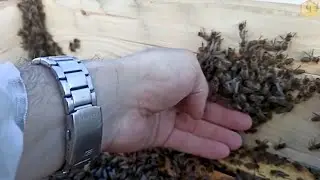 Снова о среднерусской