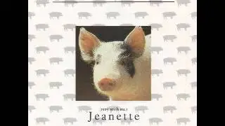 THE MONROES   JEANETTE