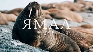Экспедиция на Полярный Урал | Ямал | Салехард | Дикая природа России