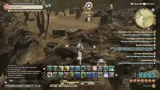 Letter Puffer Location | Final Fantasy XIV Online | Fishing