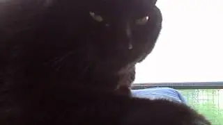 Fukkeri nukahtaa