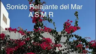 Asmr el sonido relajante de mar cantábrico