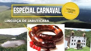 ONDE IR nesse CARNAVAL? | A Viação Cipó te conta tudo!