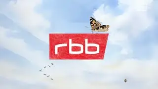 RBB // Butterfly ID (2024)