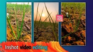 farming life🌾 video editing inshot app | i phone se bhi achhi video editing 🥰 | @GunnuKiTech