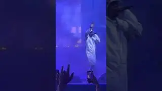 They Brought Out Travis Scott