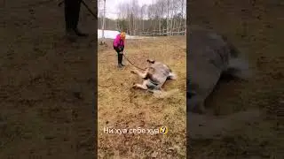 14 мая 2024 г.
