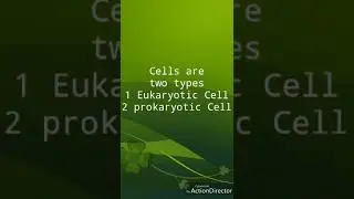 Learn cells types eukaryotic cell and prokaryotic cell