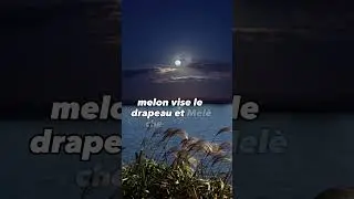 Le pire et meilleurs melon et meleche
