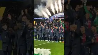🏆✨❤️💙 