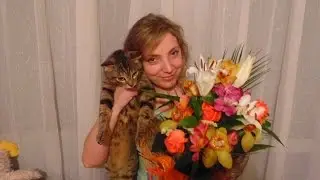 Воровайки - Подруженька