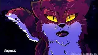 ~Коты-Воители•очередь в аптеке•~
