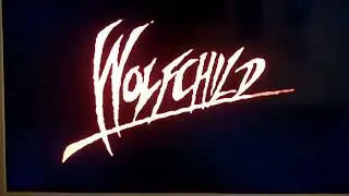 XBOX Crystal Classic (ZsnexBox plus gra Wolfchild)