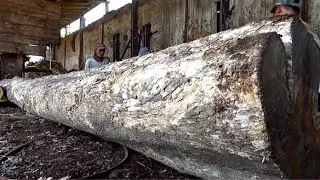 I was amazed to see this branching wood pattern.