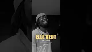LIMO - elle veut ft Peruzzi (Visualizer)