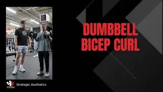 Standing Dumbbell Bicep Curl - Exercise Index