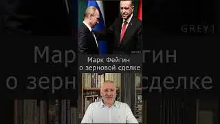 Фейгин о зерновой сделке