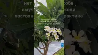 Больше о саморазвитии, учёбе дома, книгах на моём канале🫶🏻