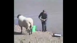 Почаще оглядывайтесь назад.flv