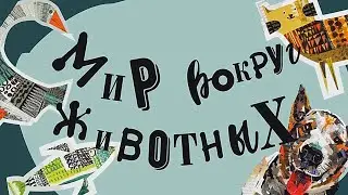 КЗВС | Мир вокруг животных. Наша команда