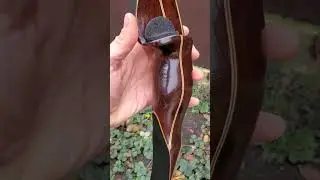Ясень копченый🌳 в луке 🏹??