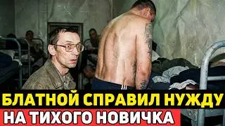 A crime boss relieved himself on a quiet prisoner. What he did in response shocked everyone!