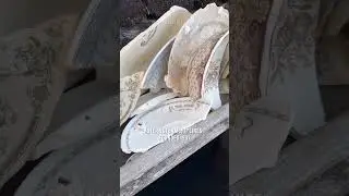 Trash & Treasure from the Bottom of Boston Harbor