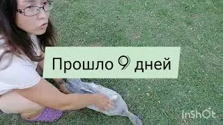 Как исправить 