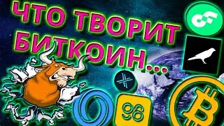 БИТКОИН ВЗЛЕТ !? Альткоины готовятся расти. Flow mina ksm icp и т.д.
