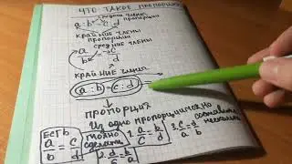 что такое пропорция