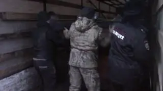 Последний этап спасение белых тигров в Оренбургской области на трассе Москва   Челябинск
