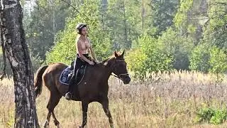 Лето 🌞 15.09.2024