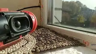 JBL charge 4 gg version/LFM 100% old video