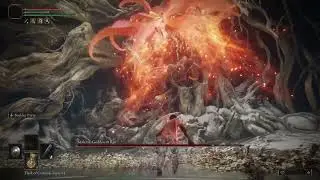 Malenia, Blade of Miquella NO DAMAGE (RL1, Solo Kill)