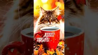 С Добрым Осенним Утром! 