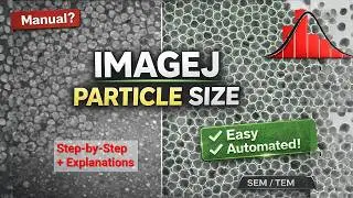 How to Measure Particle Size in ImageJ (SEM/TEM) | Step-by-Step Feret Diameter Guide