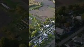 Як ви мед з акації збирали? 🙂 Мед акації з сімейної пасіки Яценко ✅ #мед #акація #медакація