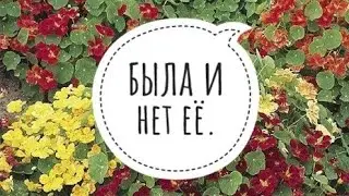 Нашествие блошки🙆