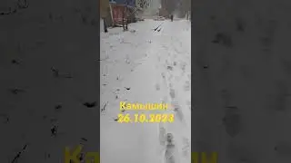 Первый снег