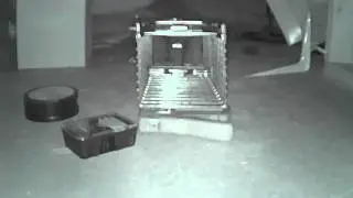 The Escape Part II